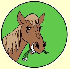 happyhorse